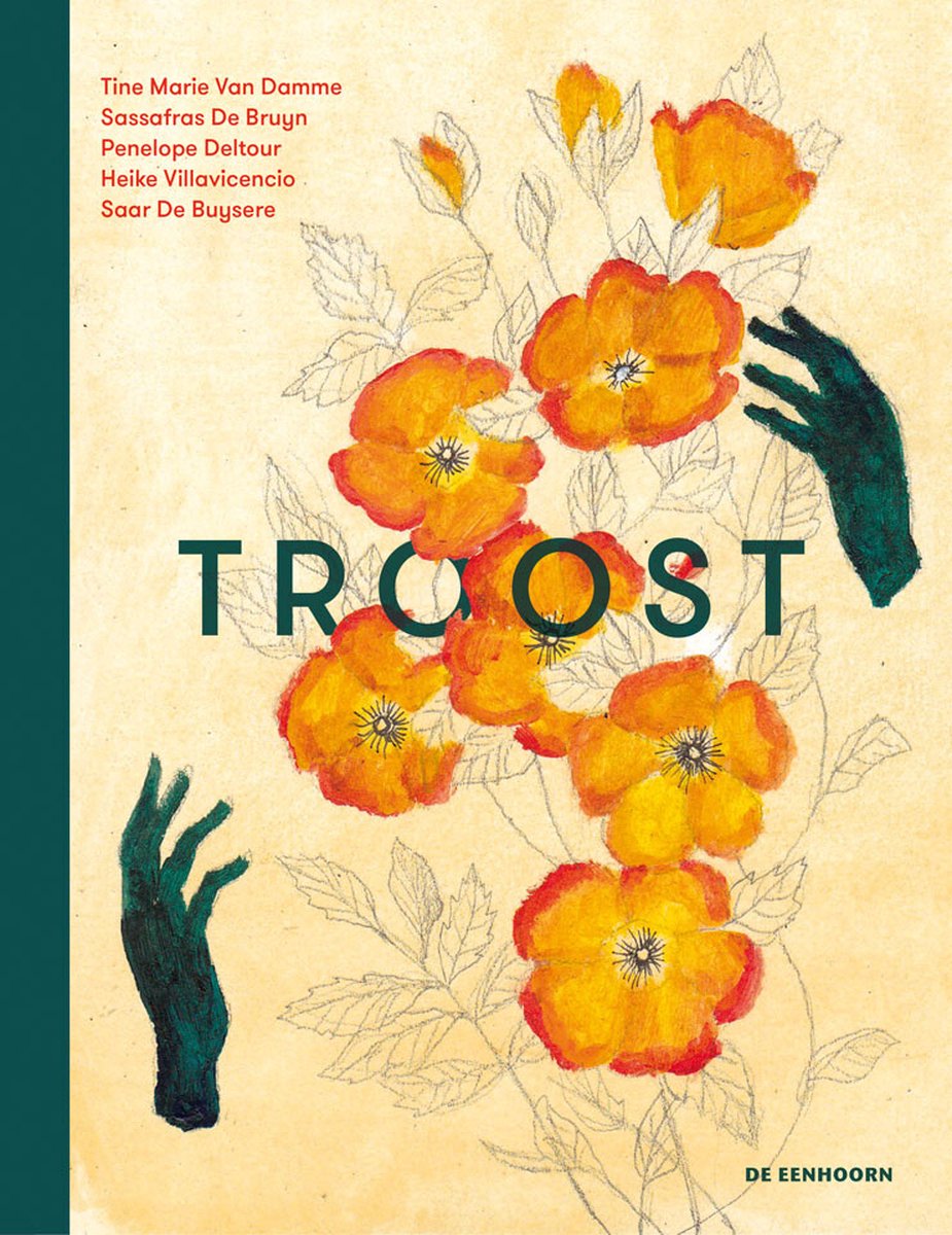 Troost - Tine Marie Van Damme